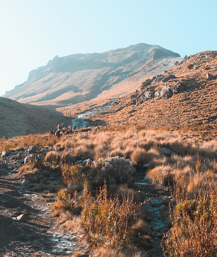 Imagen de expedición