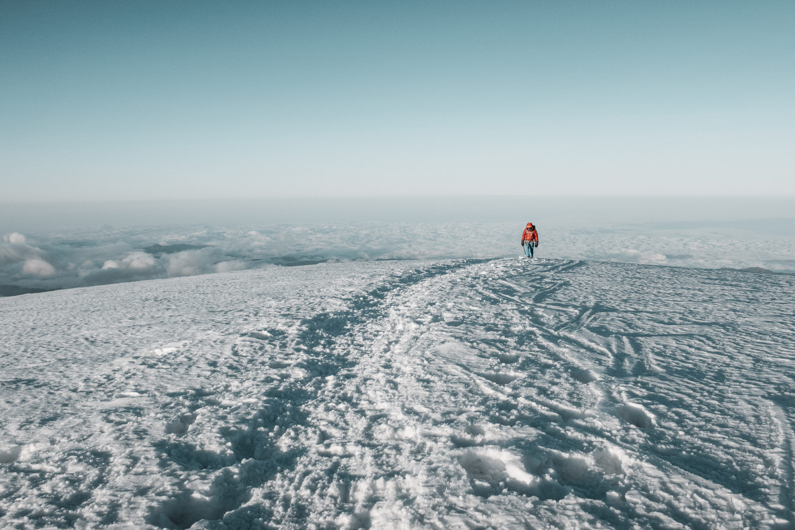 Imagen de expedición