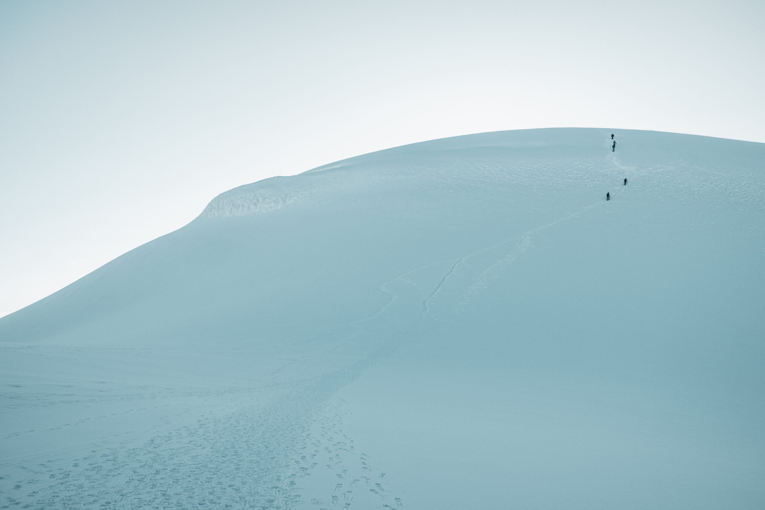 Imagen de expedición