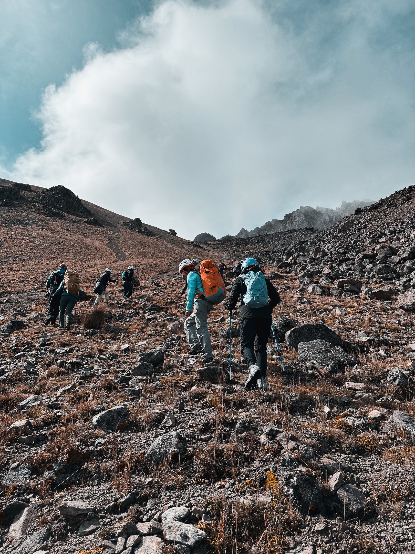 Imagen de expedición