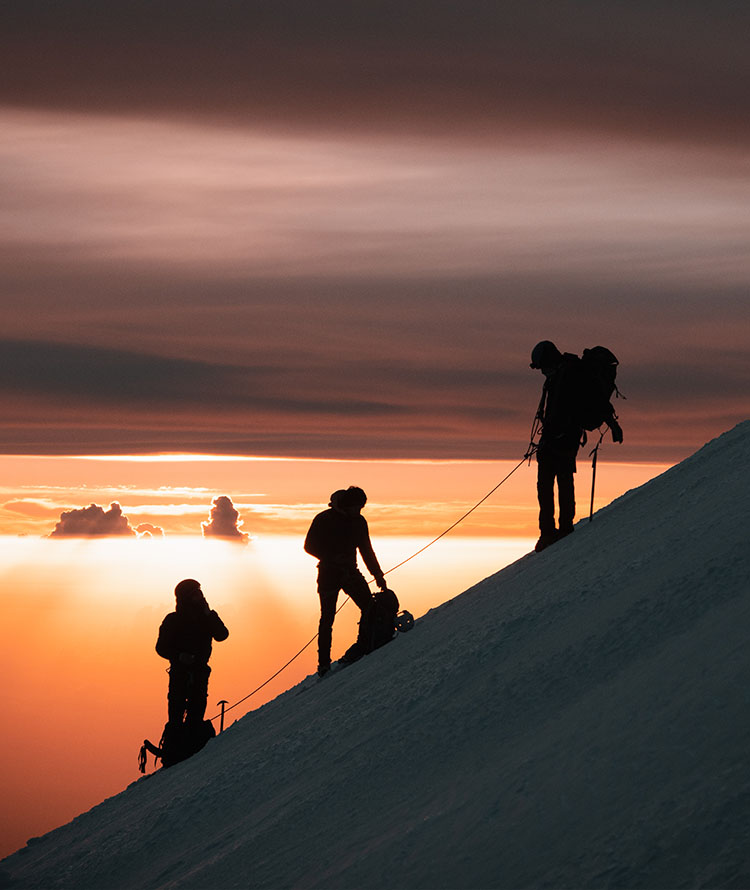 Imagen de expedición