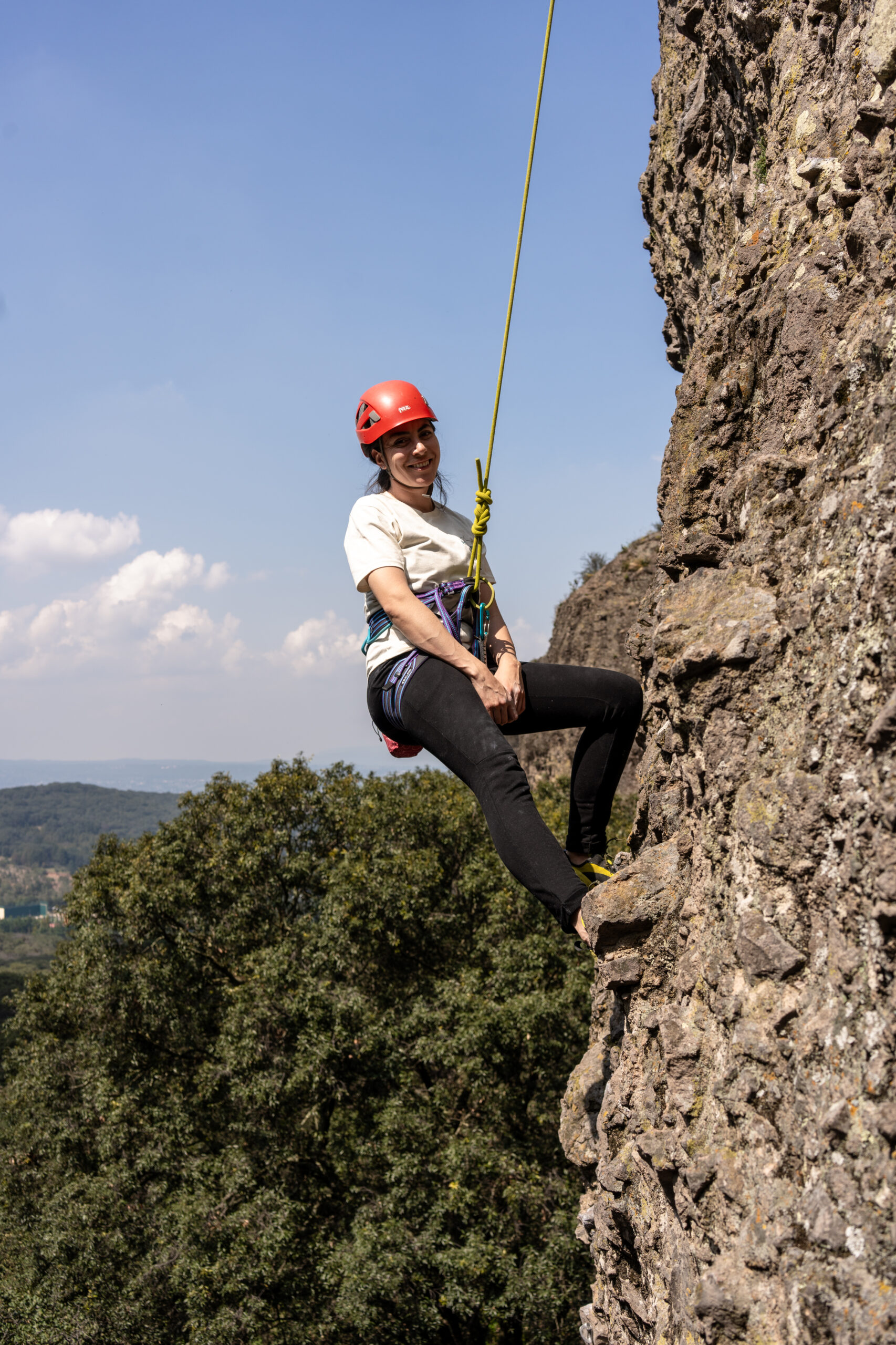 Imagen de expedición