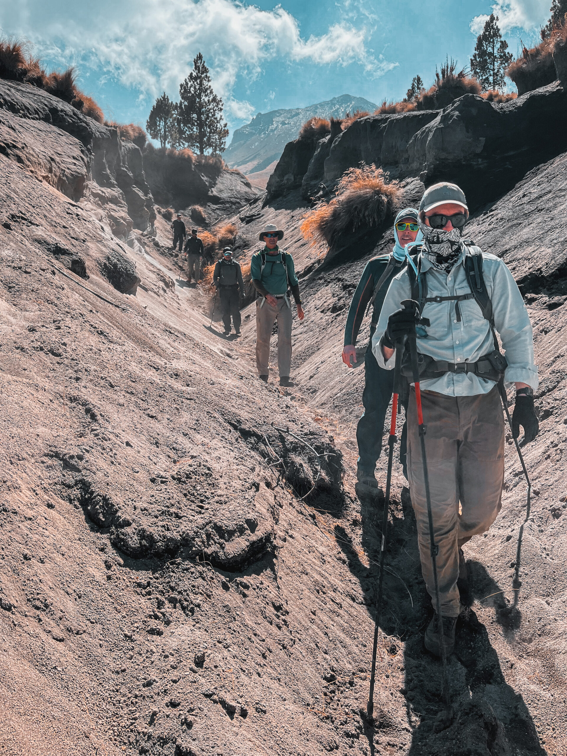 Imagen de expedición